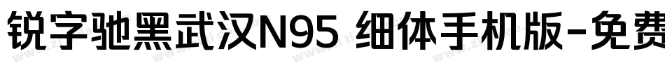 锐字驰黑武汉N95 细体手机版字体转换